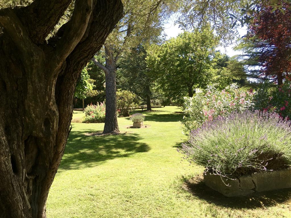 Villa Mas St Jean Noves Dış mekan fotoğraf